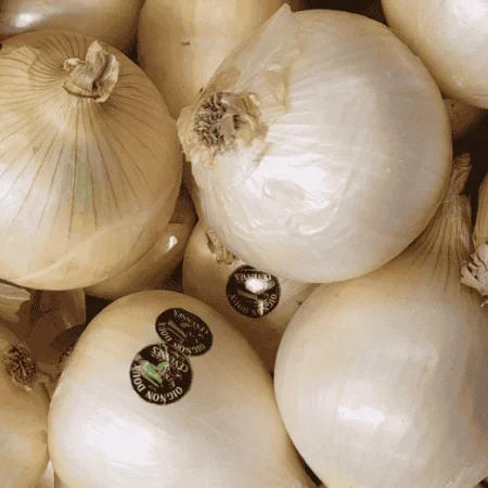 OIGNON DOUX des Cévennes