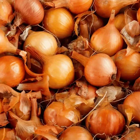 OIGNON JAUNE FILET 1KG