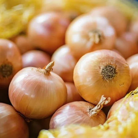 OIGNON JAUNE FILET 1KG