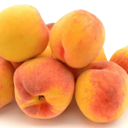 PECHE JAUNE