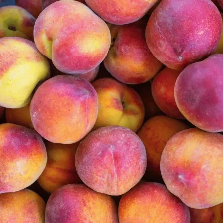 PECHE JAUNE  Env.4KG