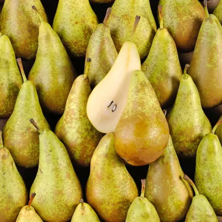 POIRE CONFERENCE 5KG de nos vergers