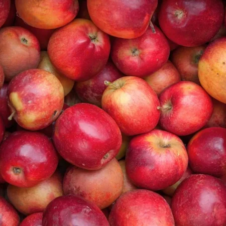 POMME DALINCLASS 10KG de nos vergers