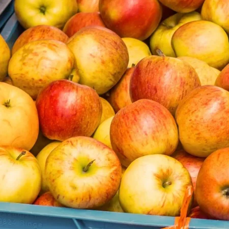 POMME DALINCO 10KG de nos vergers