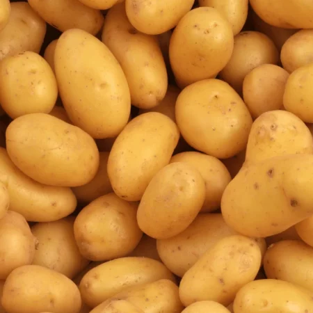 Pomme de terre délicatesse 500gr