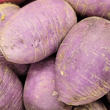 RADIS ASIATIQUE BLUE