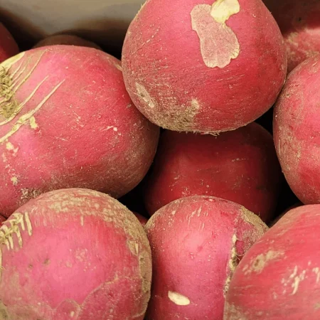 RADIS ASIATIQUE MISATO