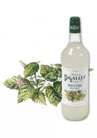 SIROP MENTHE GLACIALE 1L