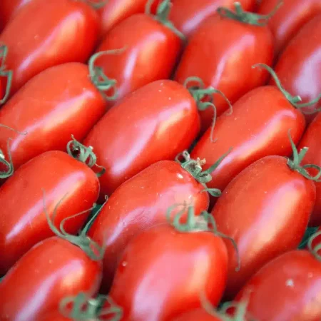 TOMATE ALLONGEE COEUR COLIS 5KG