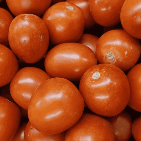 TOMATE ALLONGEE ROMA