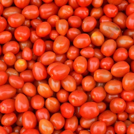 TOMATES CERISES EN FOLIE 1Kg