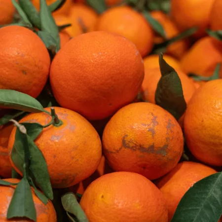 ORANGE FEUILLE