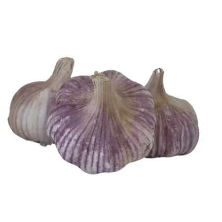 AIL VIOLET