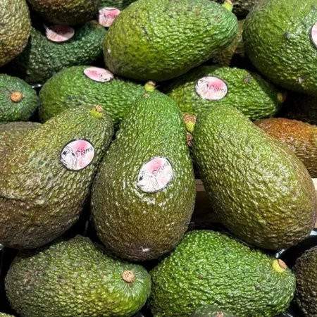 AVOCAT CORSE
