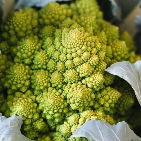 CHOU ROMANESCO