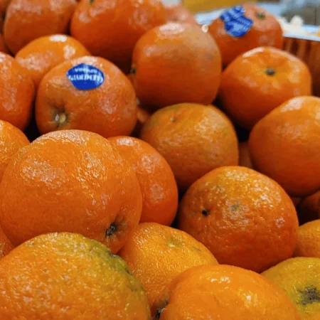 CLEMENTINE