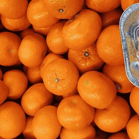 CLEMENTINE TACLE