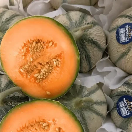 MELON   LE LOT DE 3