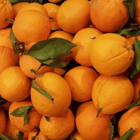 ORANGE FEUILLE de corse