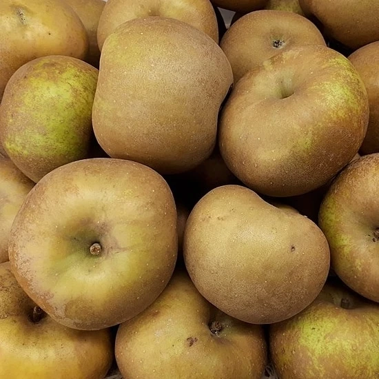 POMME CANADA GRISE 10 KG de nos vergers