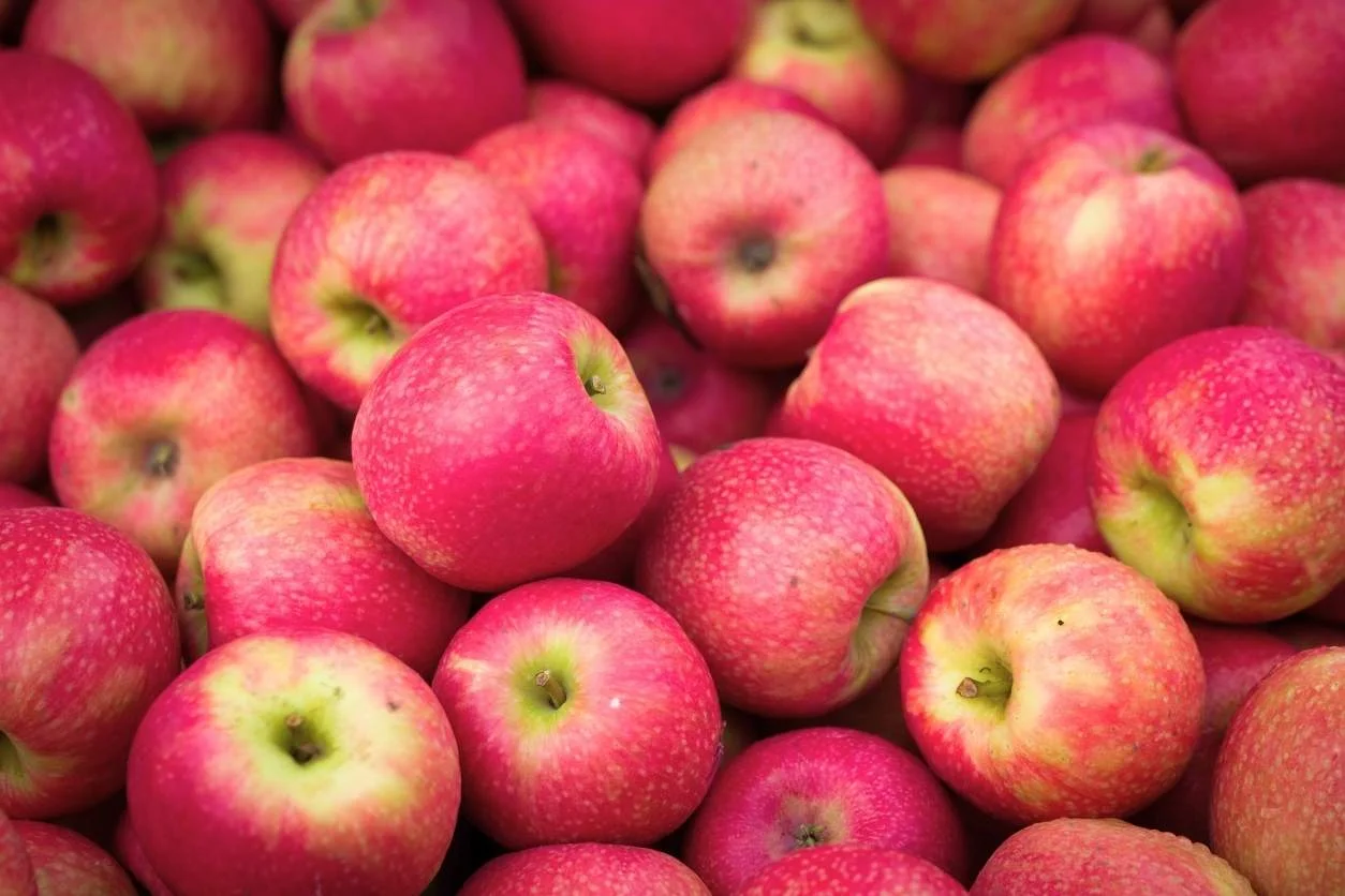 POMME DALINCLASS de nos vergers