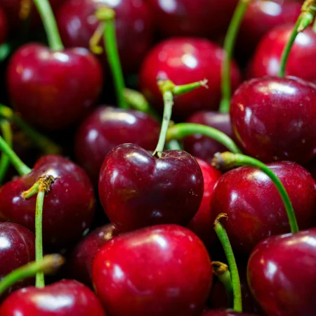 CERISE
