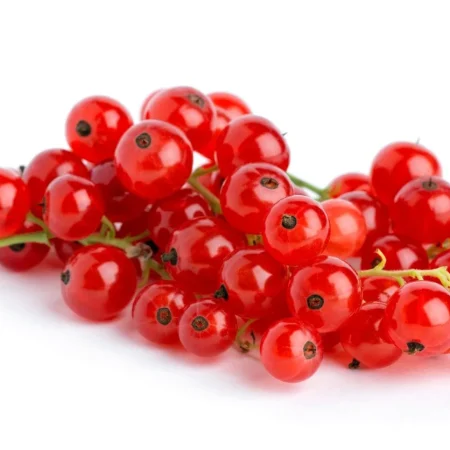 GROSEILLE 100GR