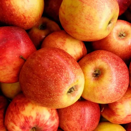 POMME BRAEBURN
