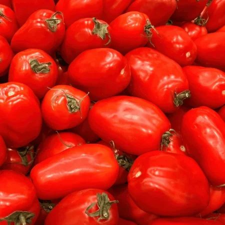 TOMATE ALLONGEE ROMA 9KG COLIS