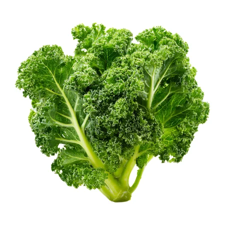 CHOU KALE