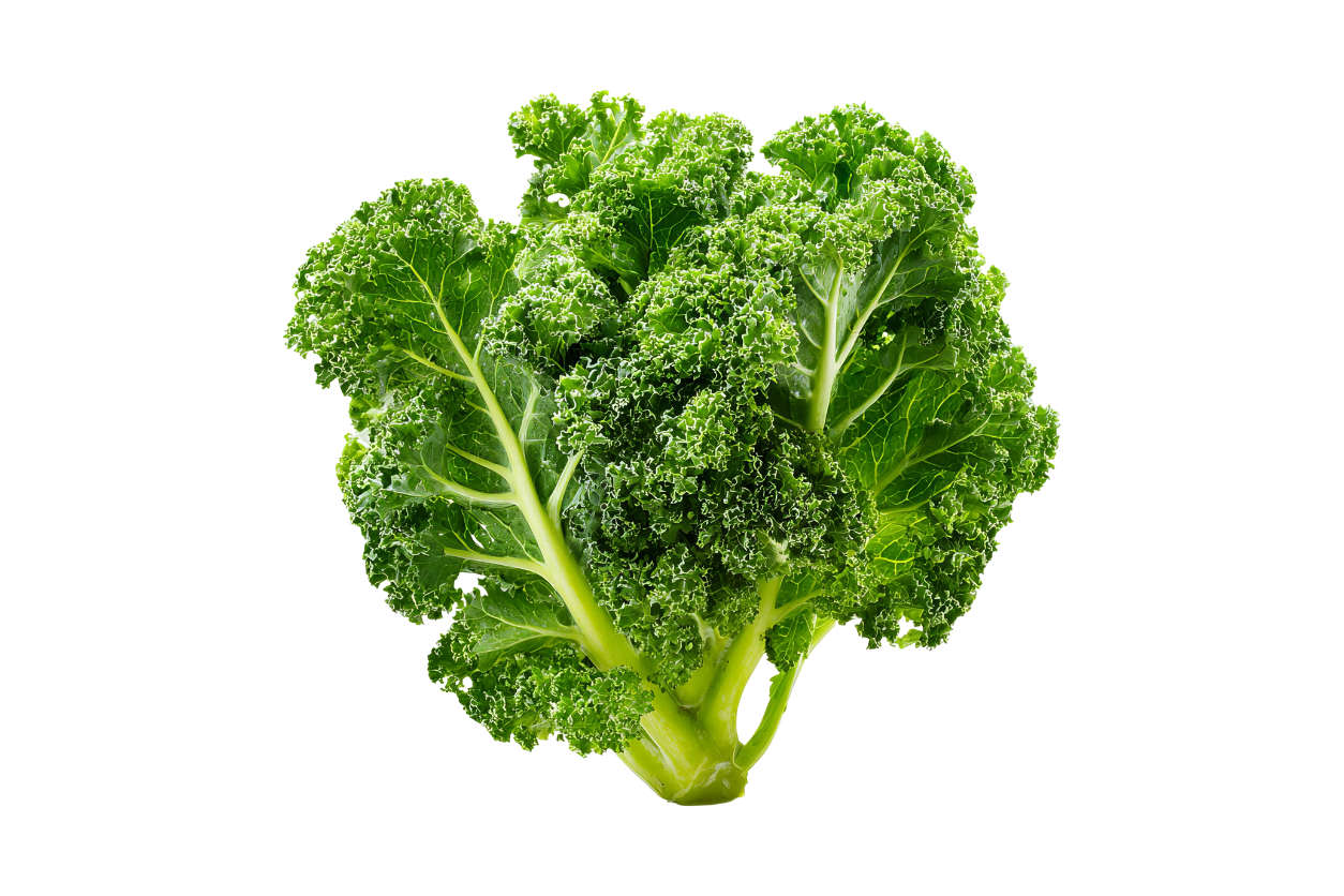 CHOU KALE