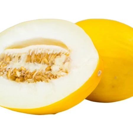 MELON JAUNE