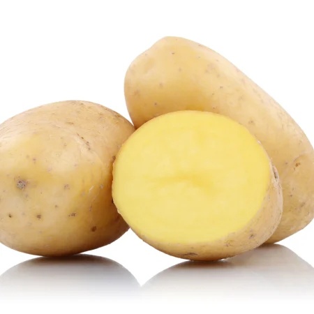 POMME DE TERRE COLOMBA