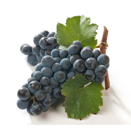 RAISIN NOIR SANS PEPINS