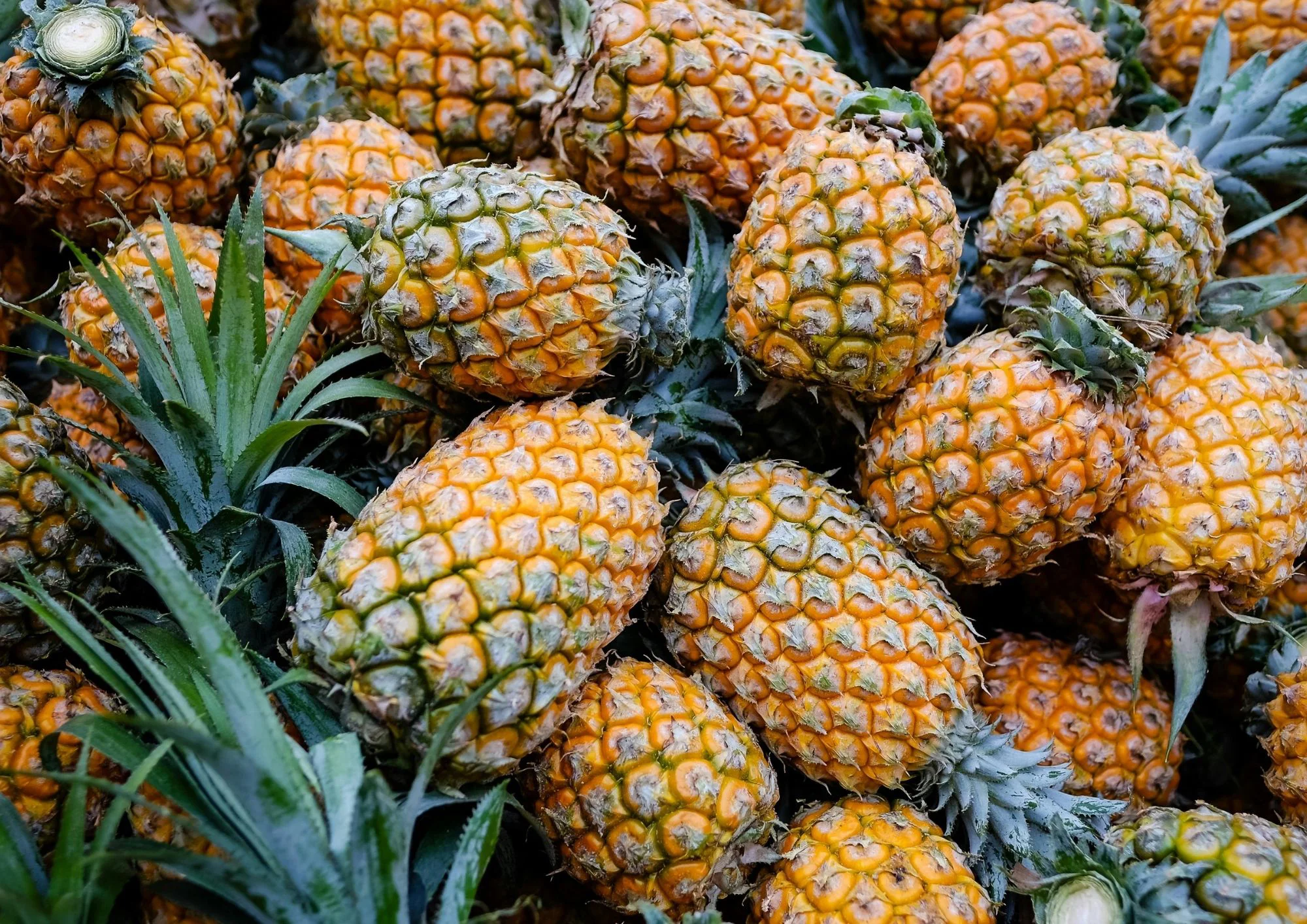 ANANAS SWEET