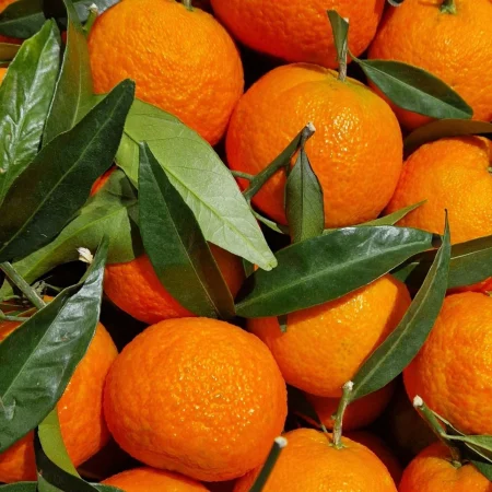 CLEMENTINE CORSE 2.5KG