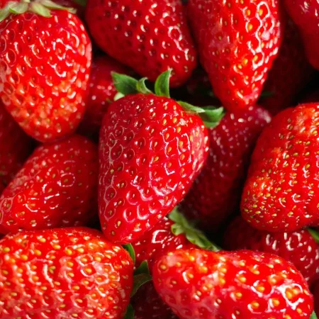 FRAISE DREAM 250GR