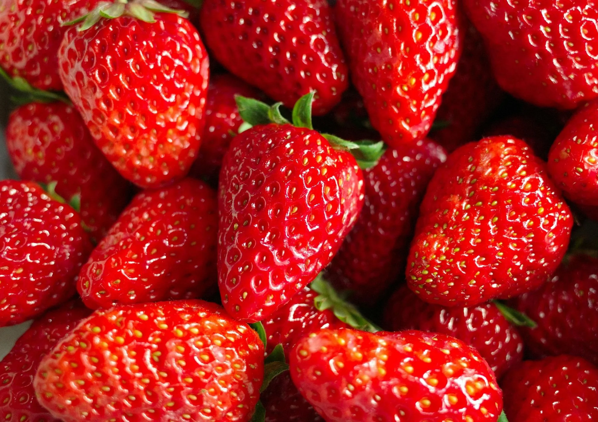 FRAISE GARIGUETTE 250gr