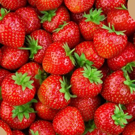 FRAISE Mara des bois 250Gr