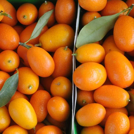 KUMQUATS