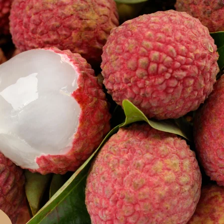 LITCHI