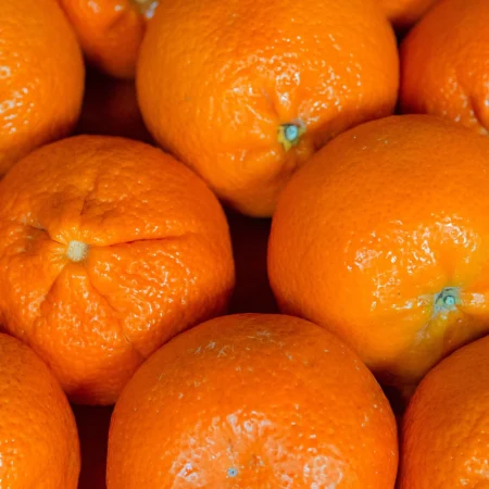 MANDARINE     ORRI