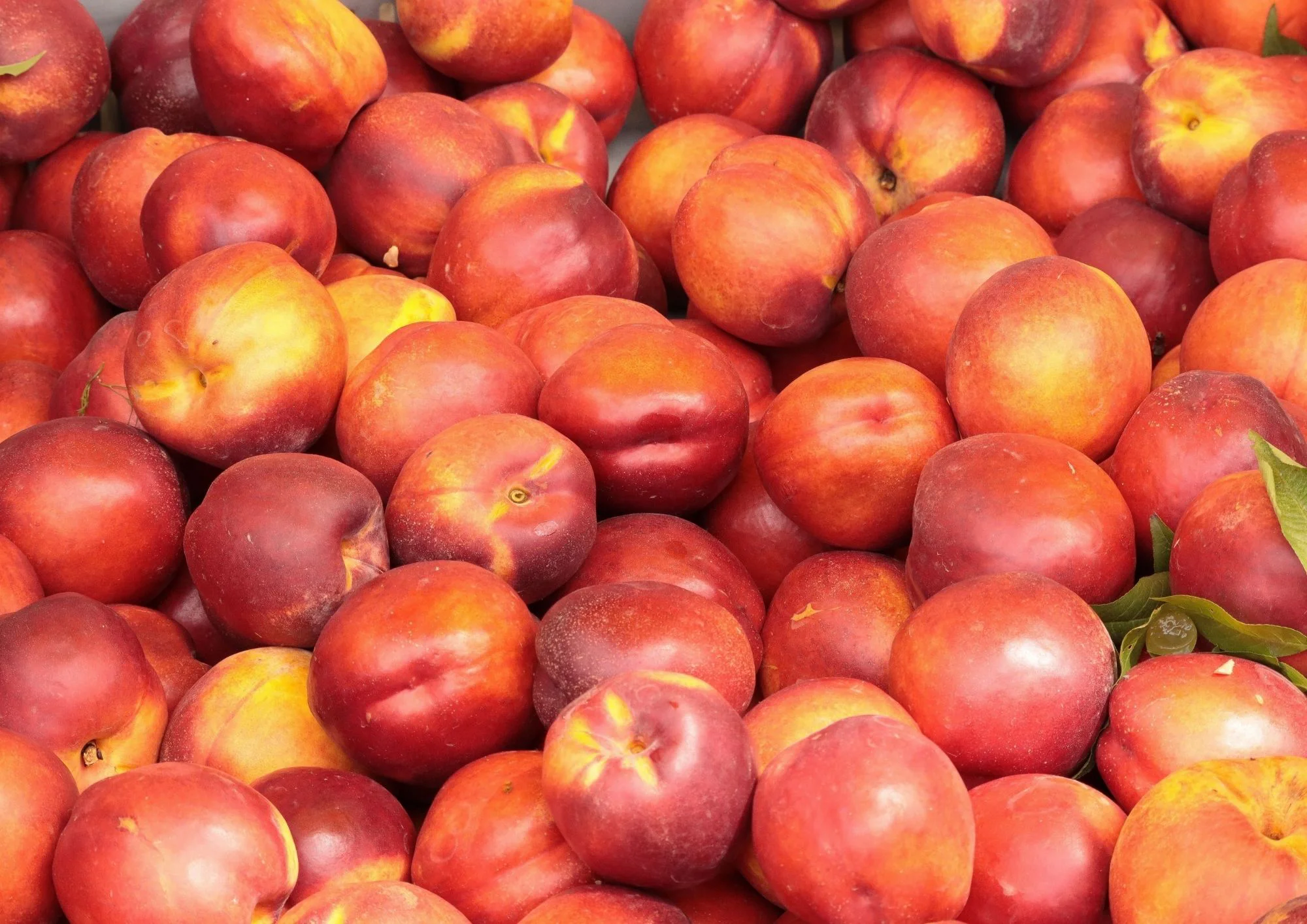 NECTARINE BLANCHE ENV. 4KG