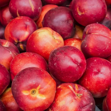 NECTARINE JAUNE