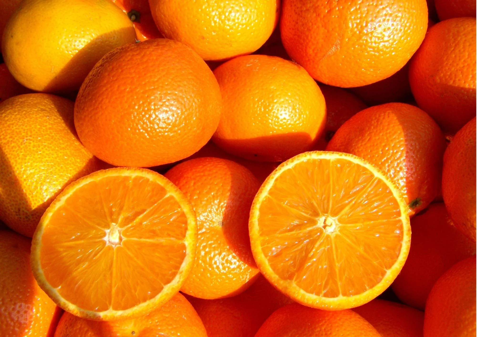 ORANGE NAVEL