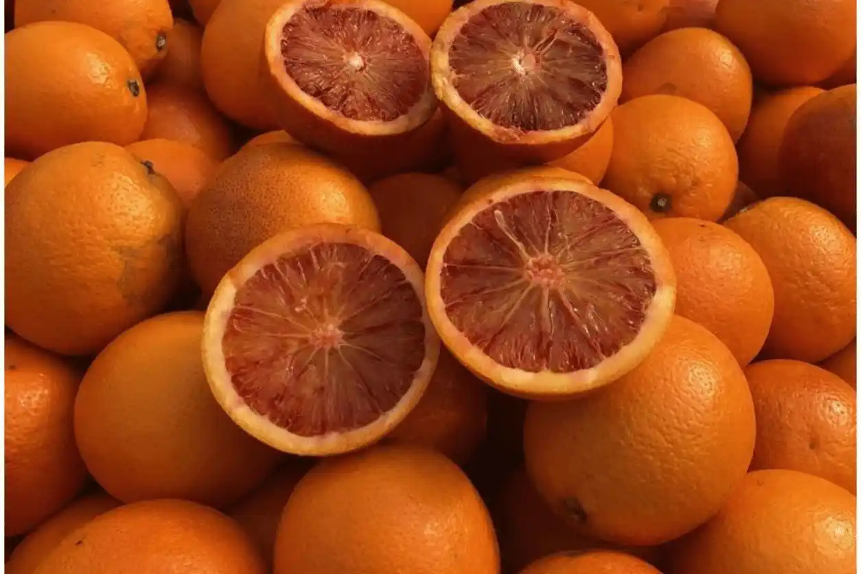 ORANGE SANGUINE