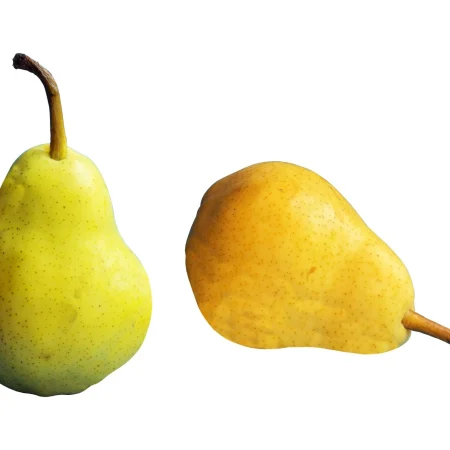 POIRE GUYOT