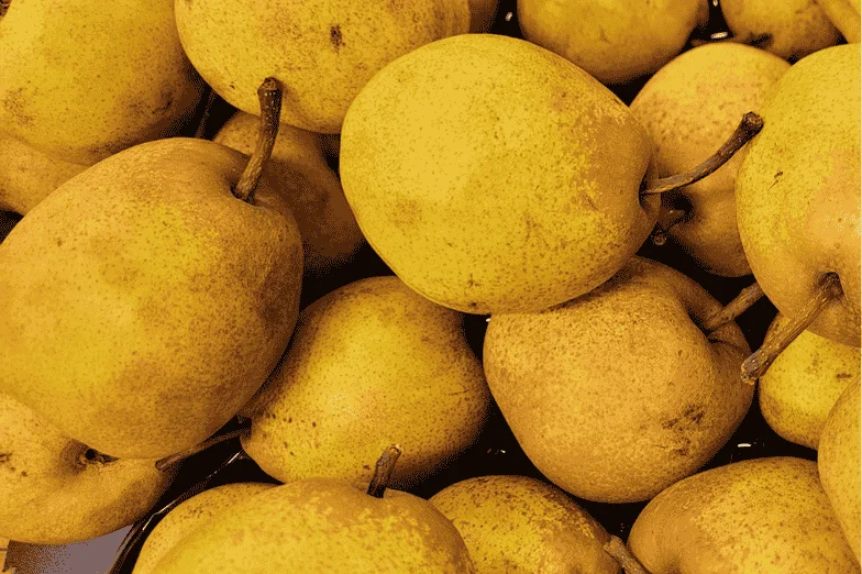 POIRE PASSE CRASSANNE