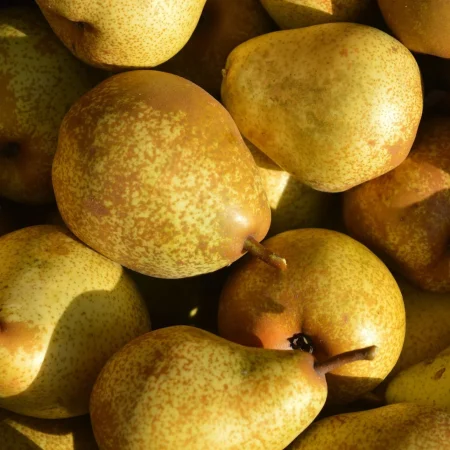 POIRE WILLIAM