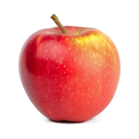 POMME ARIANE